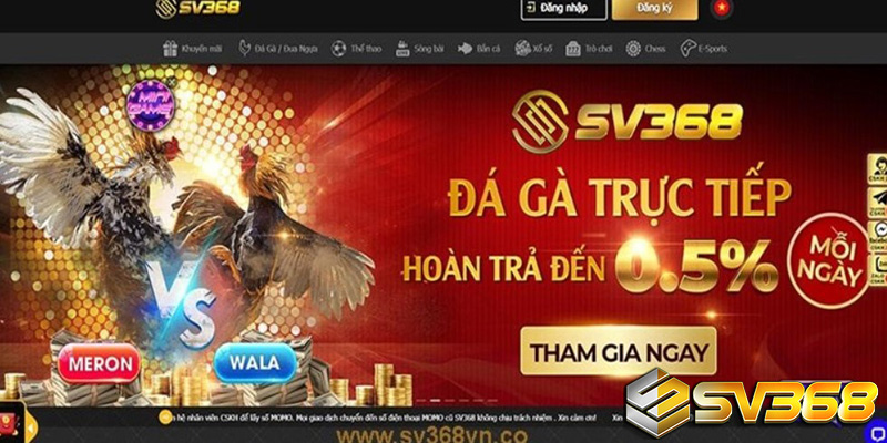 Giới Thiệu SV368 - Chơi Bài Cào Tố Đẳng Cấp Nhận Tiền Qúa Nhanh Cho Game Thủ